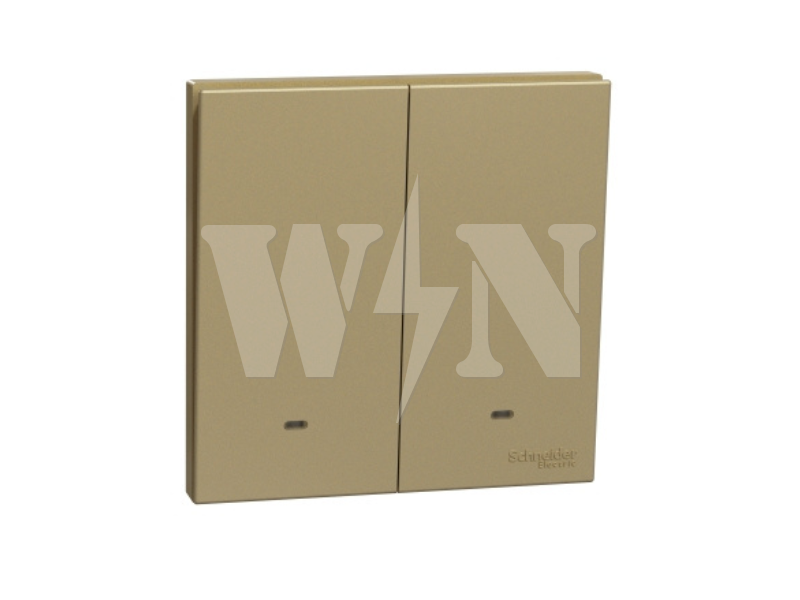 SCHNEIDER AVATARON C 2GANG 1WAY (GOLD) E8732L1FWG