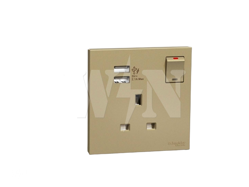 SCHNEIDER AVATARON C 2USB+13A SOCKET 2.1A (GOLD) E8715USBWG